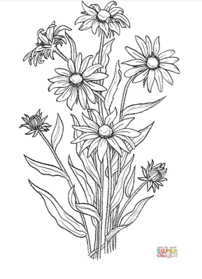 Flower Coloring Page Graphic